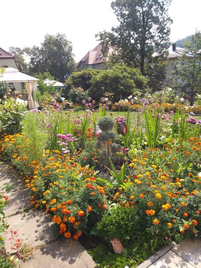 Ferienwohnungen Wilhelm Bad Schandau Zewnętrze zdjęcie